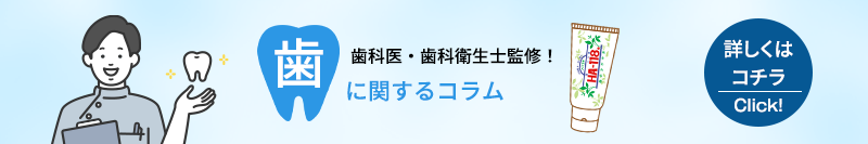 歯科医・歯科衛生士監修！歯に関するコラム